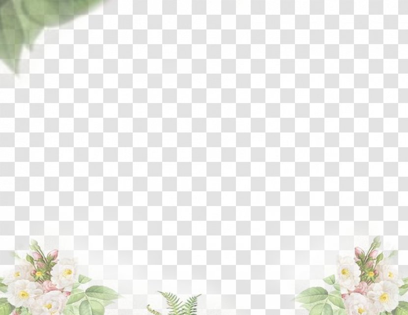 Designer - Women Hand-painted Background Material Transparent PNG