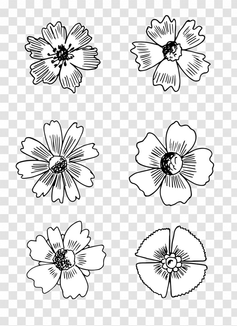Floral Design Painting Flower Line Art Image - Pollinator Transparent PNG