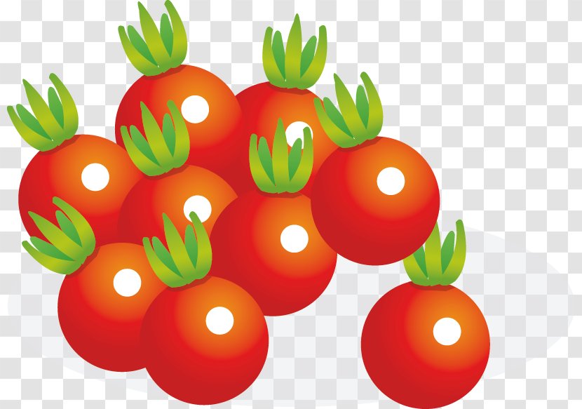 Cherry Tomato Juice Vegetable Fruit - Vegetarian Food - Persimmon Vector Material Transparent PNG