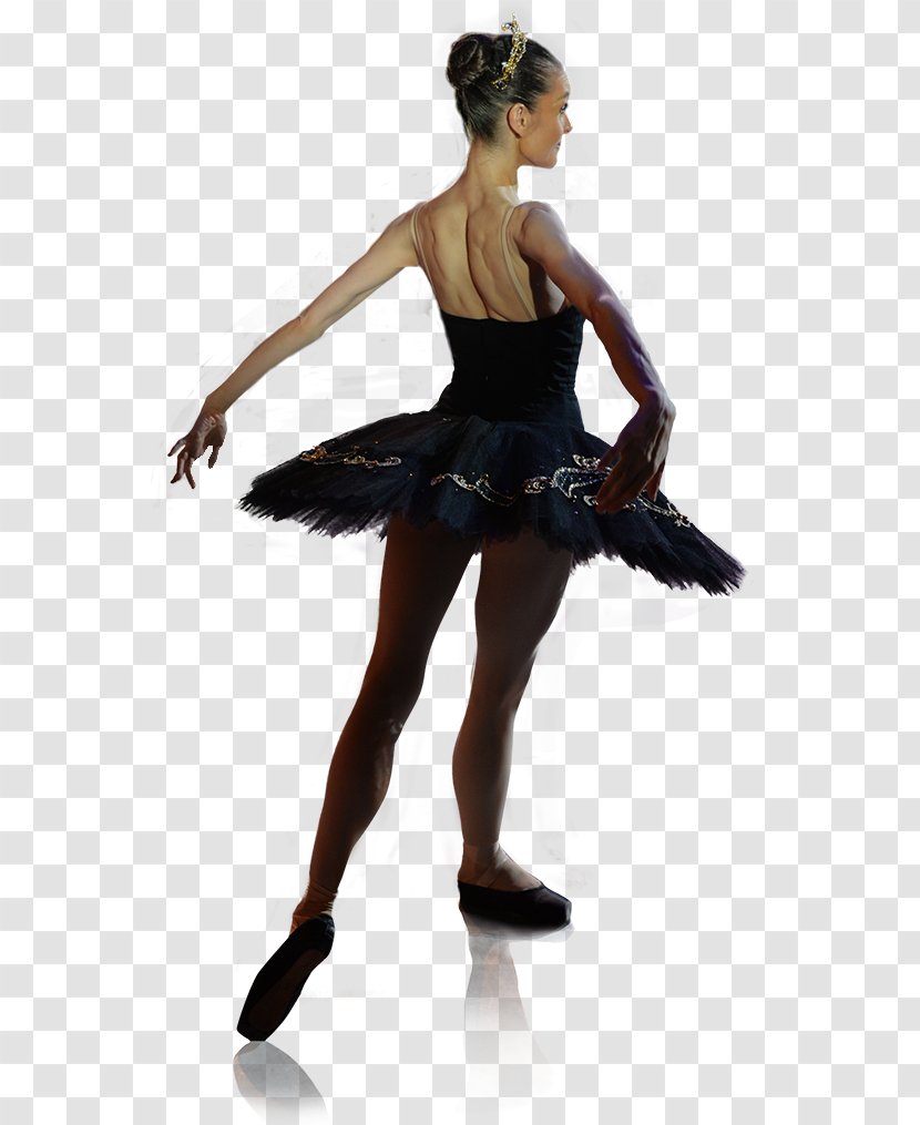 Ballet Choreographer Tutu Choreography Dance - Standing - Swan Transparent PNG