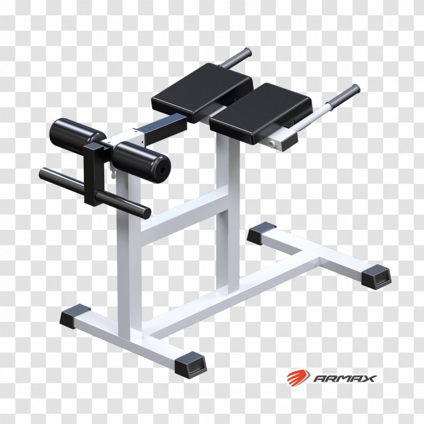 Exercise Machine Hyperextension Fitness Centre Roman Chair Physical - Price - Ovary Transparent PNG