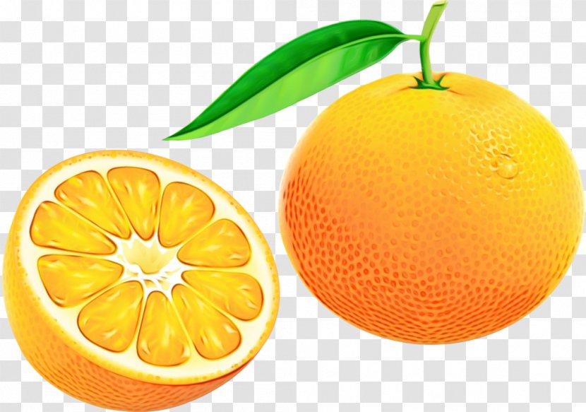 Orange - Bitter - Yuzu Tangerine Transparent PNG