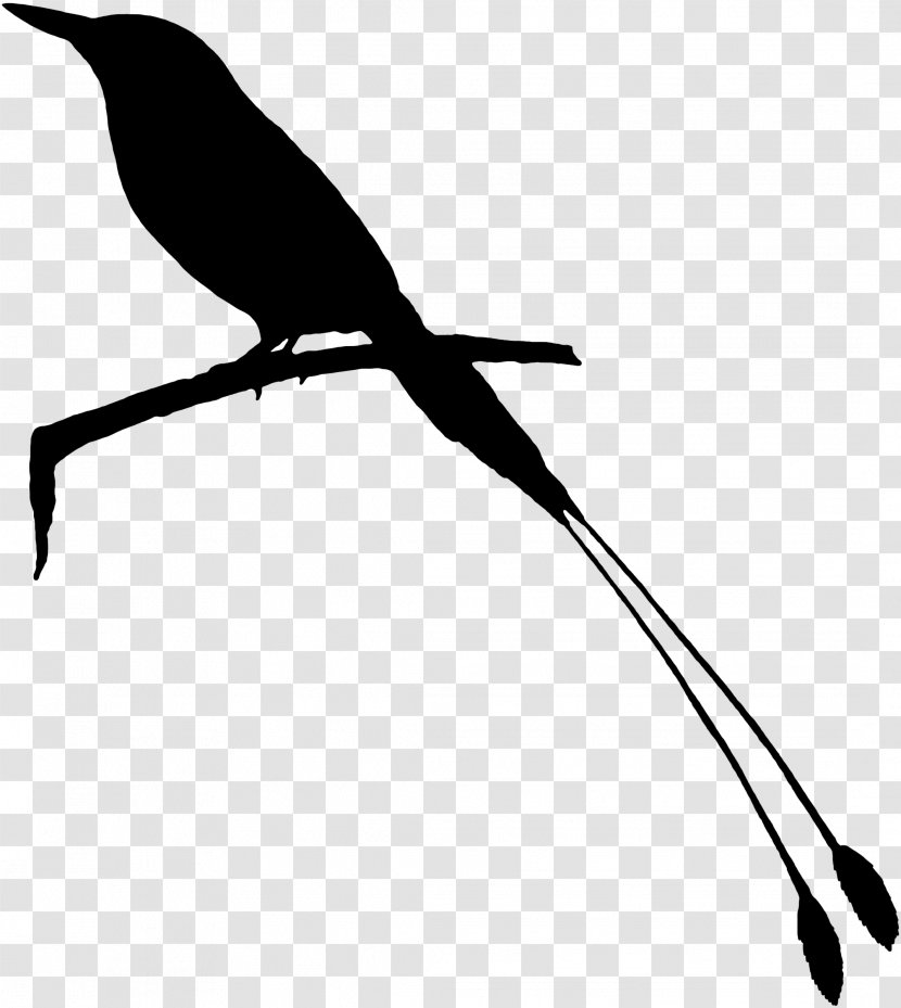 Beak Clip Art Fauna Feather Silhouette - Twig Transparent PNG