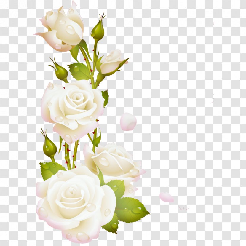 Garden Roses Borders And Frames Picture Clip Art - Artificial Flower - Flores Blancas Transparent PNG