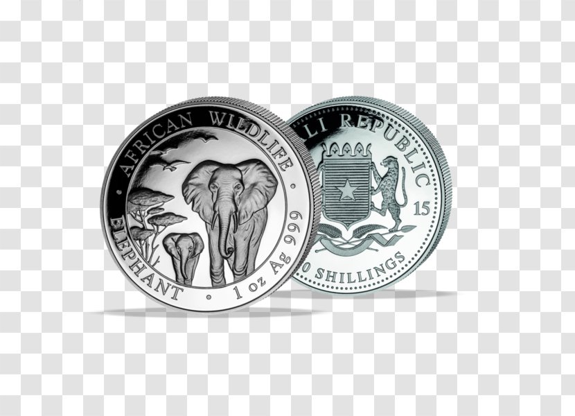 Coin Silver Ounce Gold Somali Shilling - Somalia Transparent PNG