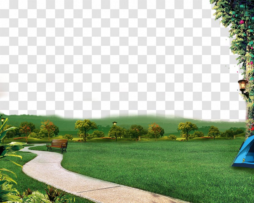 Lawn Garden Yard Google Images - Designer - Green Grass Transparent PNG