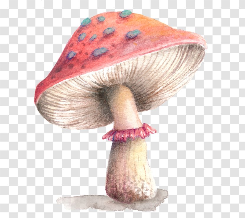 Download Computer File Clip Art Color - Ansichtkaart - Abalone Mushrooms Transparent PNG