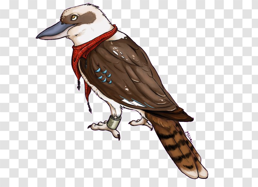 Drawing Kookaburra Art - Cartoon - Painting Transparent PNG