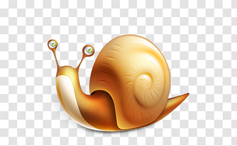 Sea Snail Caracol Mail Apple - Itunes Transparent PNG