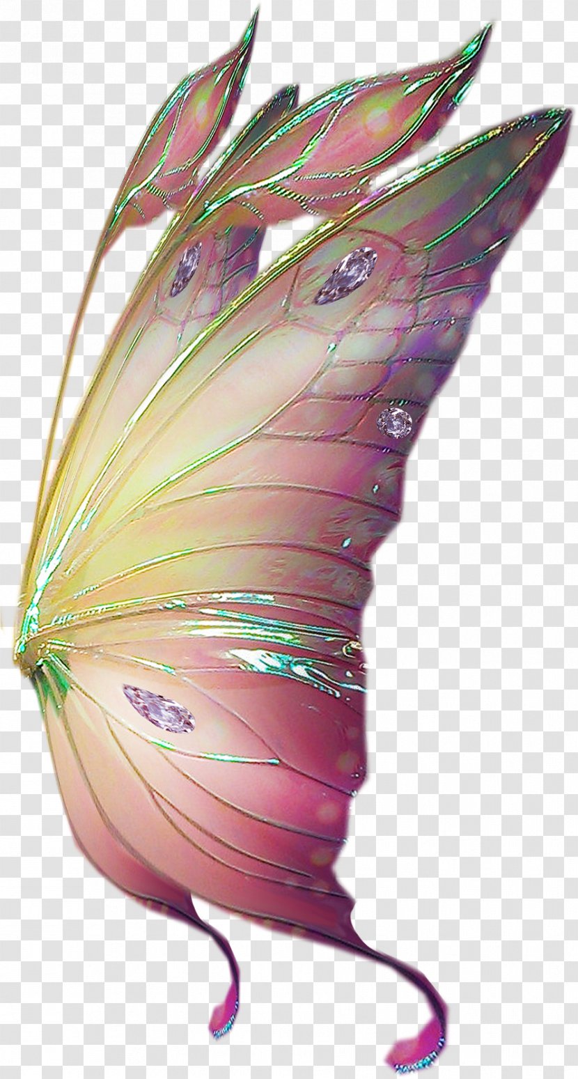 Moth Purple Fairy - Butterfly - Butterflies Float Transparent PNG