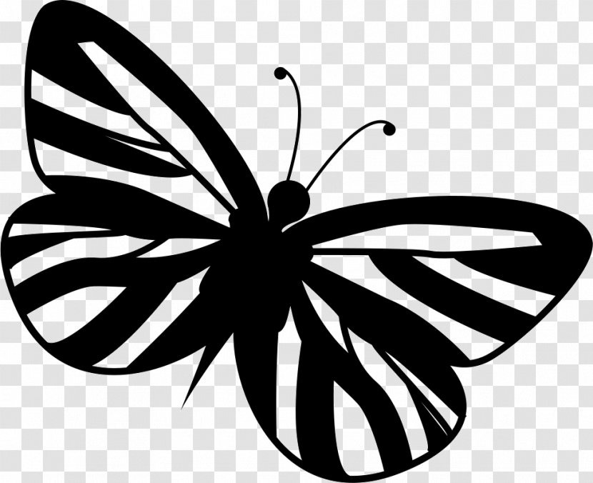 Monarch Butterfly Clip Art Butterflies & Insects - Arthropod Transparent PNG