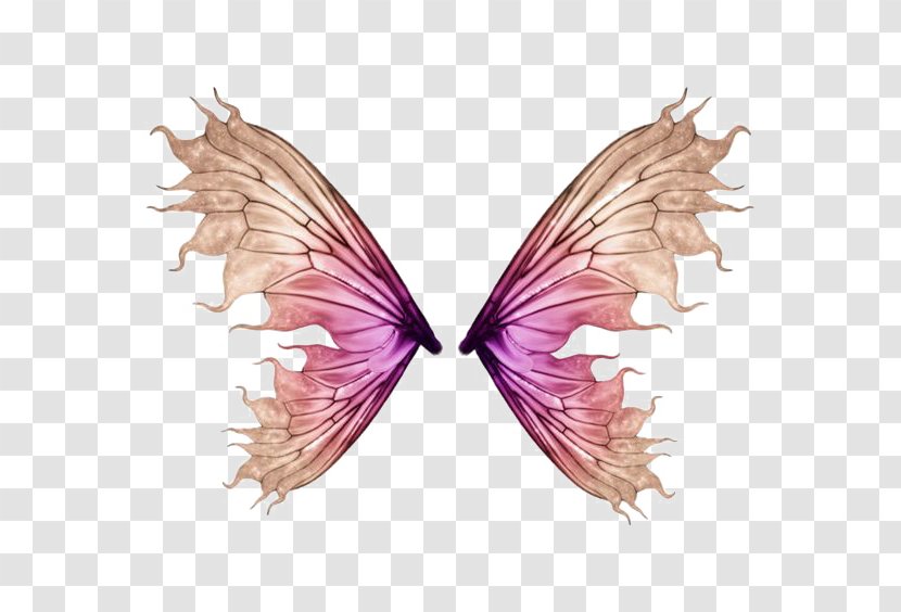 Download Photography - Portrait - Butterfly Wings Transparent PNG