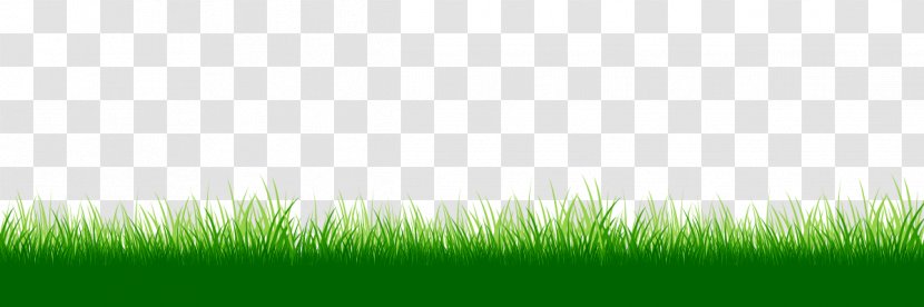 Lawn Grasses Desktop Wallpaper Energy Grassland - Grass - Summer Sports Transparent PNG