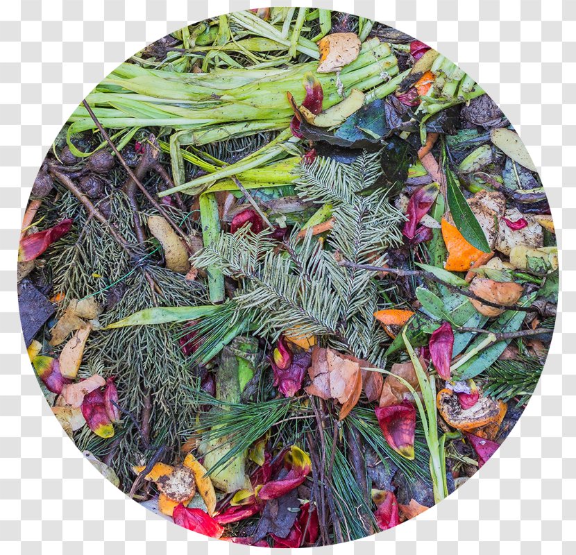 Easy Composting Food Waste Recycling - Management - Compost Transparent PNG