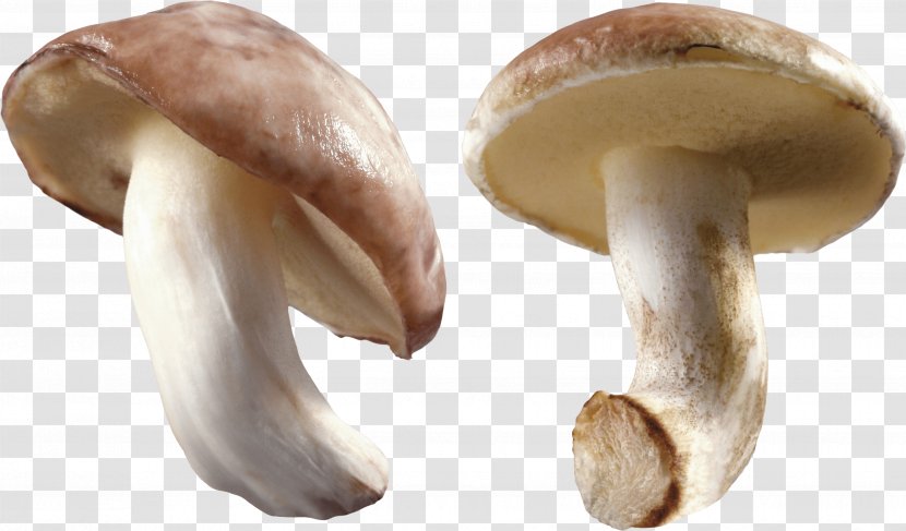 Mushroom Clip Art - Food - Image Transparent PNG