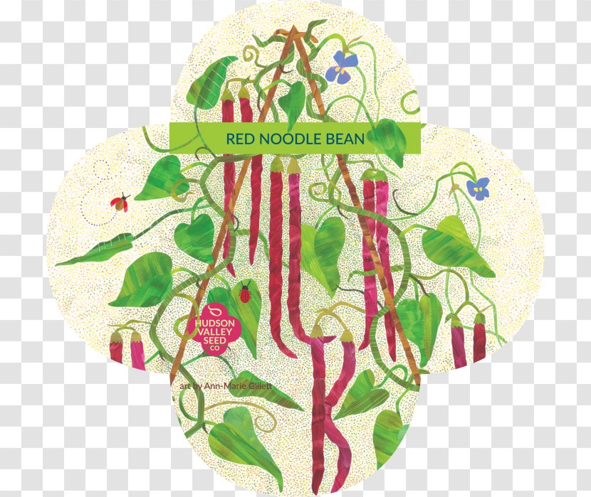 Seed Library Hudson Valley Company Bean Transparent PNG