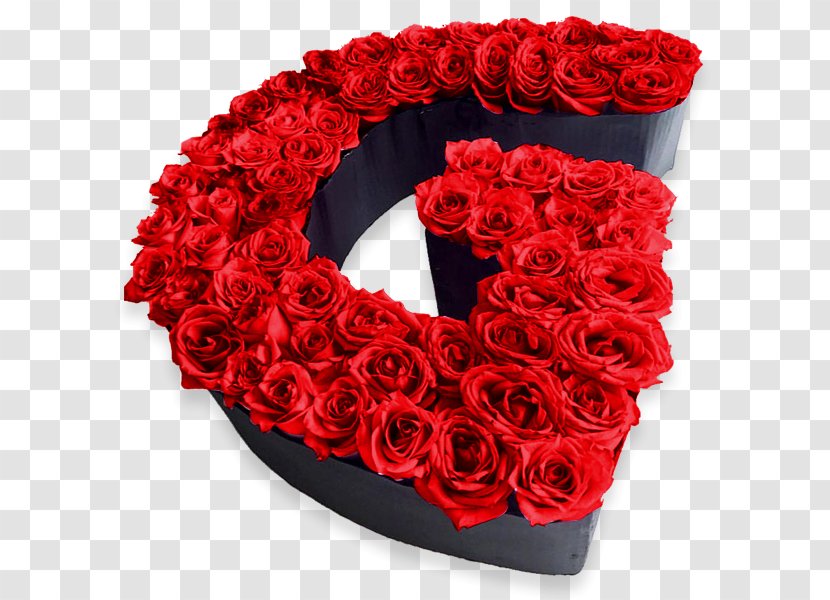 Garden Roses Cut Flowers Song Rosas Rojas - Rose Order - ROSAS ROJAS Transparent PNG