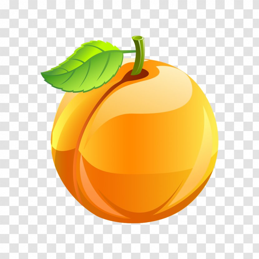 How To Become Vegan Peach Fruit Apricot Ice Cream - Grado Transparent PNG
