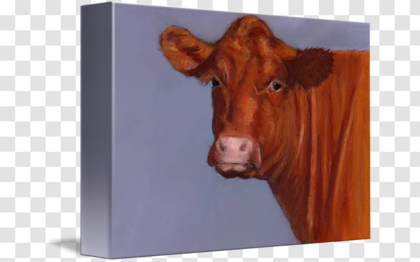 Hereford Cattle Paper Beef Zazzle Wedding Invitation - Calf - Painting Transparent PNG