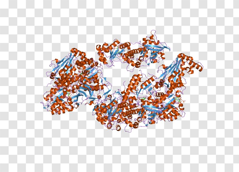 Nicotinamide Phosphoribosyltransferase Art Museum Pre-B-cell Colony Enhancing Factor 1 - Crystal Structure - Enzyme Inhibitor Transparent PNG