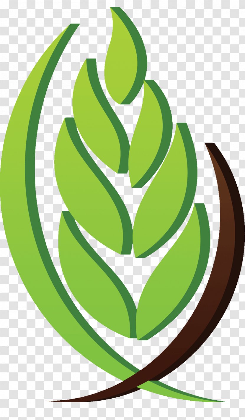AAAID Agriculture Saudi Arabia Investment Organization - Project - Tree Transparent PNG