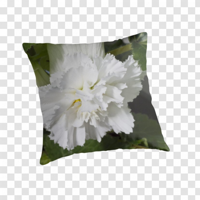 Throw Pillows Cushion Flowering Plant - Petal - Pillow Transparent PNG