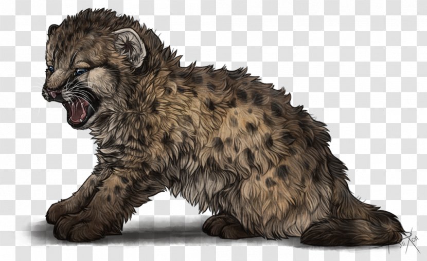 Cat Cougar Drawing Lion - Snout Transparent PNG