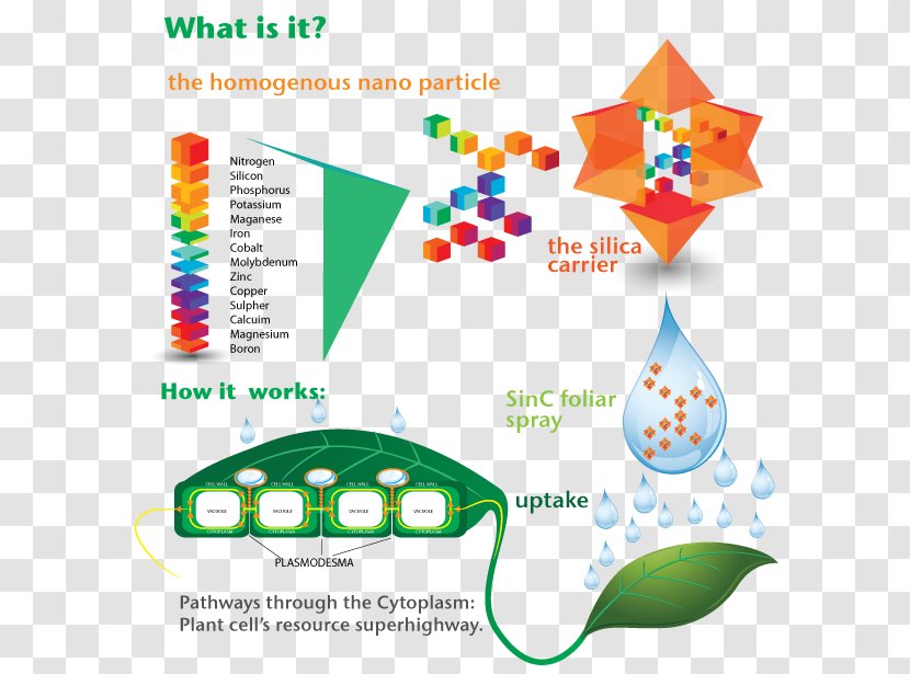 Foliar Feeding Horticulture Agriculture Forestry Industry - Area - Photosynthetic Efficiency Transparent PNG