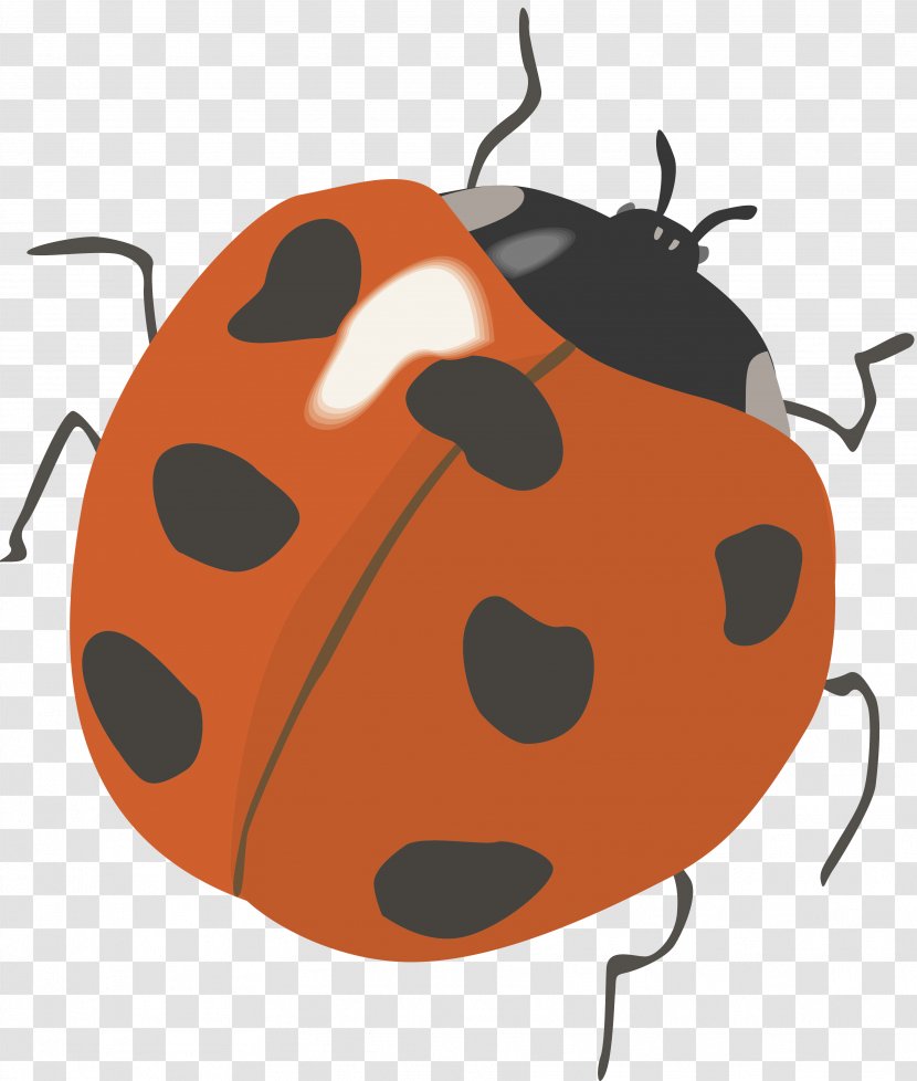 Ladybird Centerblog Clip Art - Blog - Invertebrate Transparent PNG