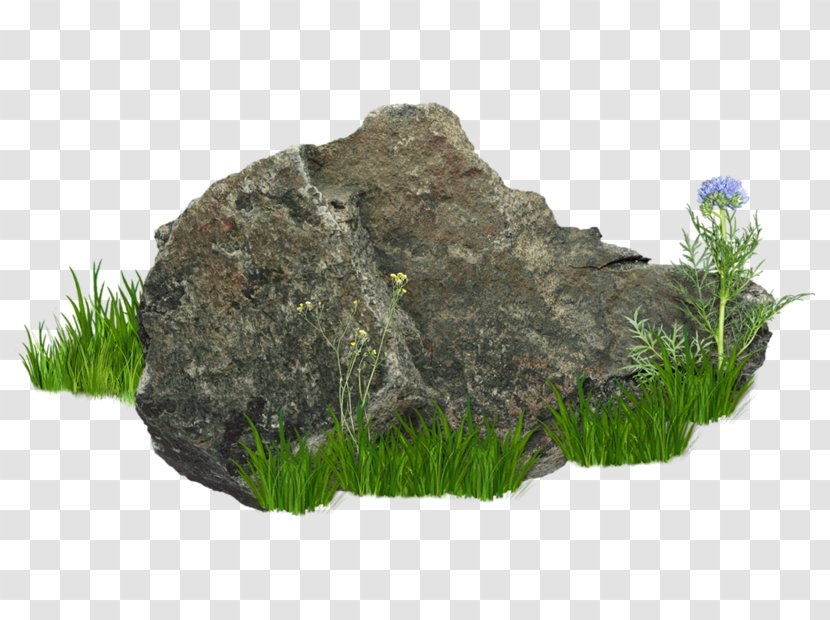 Clip Art - Grass - The Stone In Bushes Transparent PNG