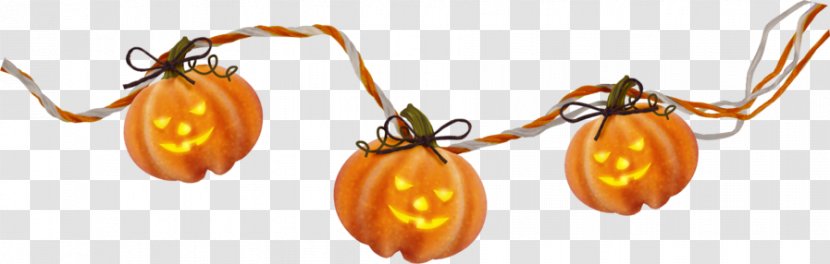 Halloween Witch Magic Picture Frames Blog Transparent PNG