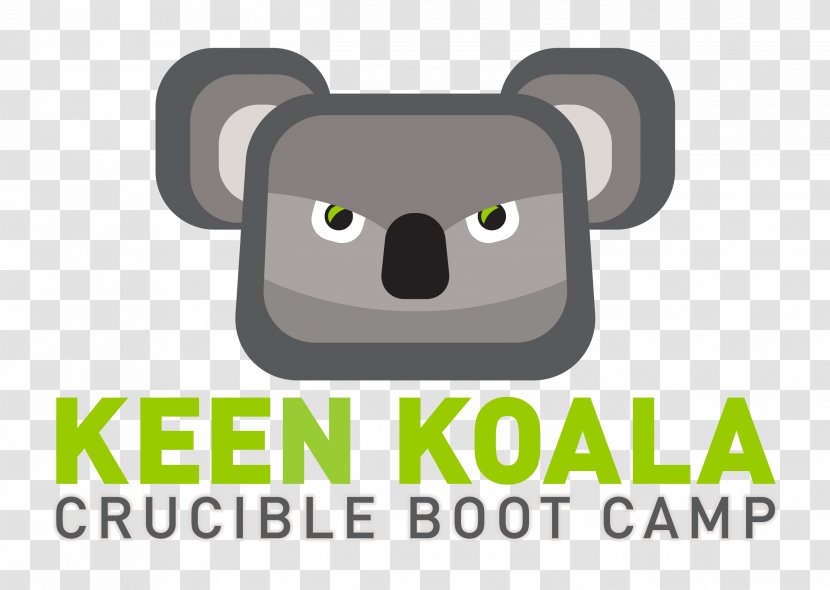 Koala Logo Brand - Mammal Transparent PNG
