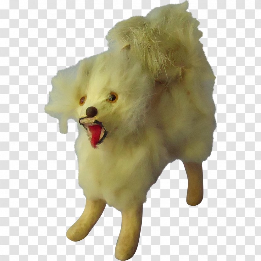 Dog Breed Pomeranian Samoyed Companion Snout - Carnivoran Transparent PNG