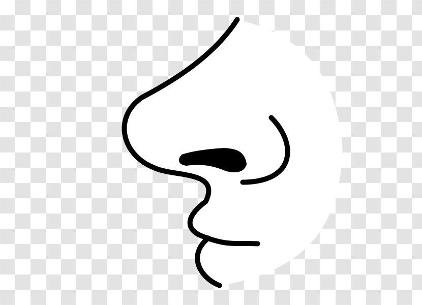 Nose Drawing Olfaction Clip Art Transparent PNG