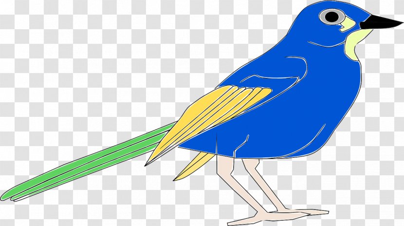 Bird Beak Blue Clip Art - Songbird Transparent PNG