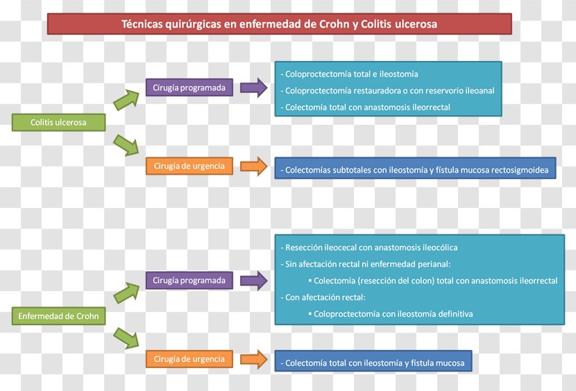 Surgery Inflammatory Bowel Disease Ulcerative Colitis Crohn's Colon - Therapy - Text Transparent PNG