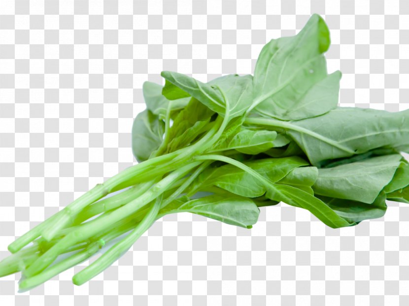 Vegetarian Cuisine Spinach Salad Transparency - Collard Greens - Vegetable Transparent PNG