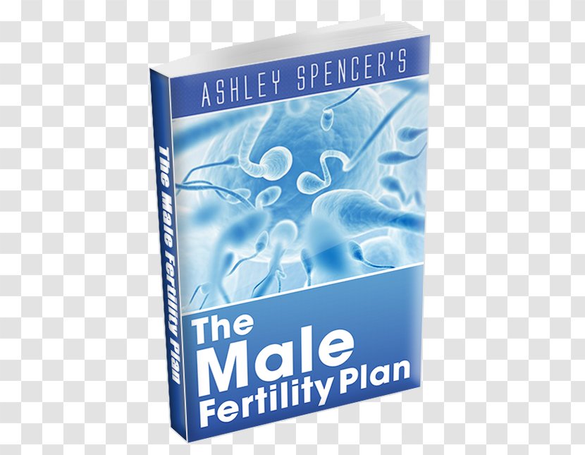 Fertility Pregnancy Oligospermia Cure Erectile Dysfunction - Spermatozoon Transparent PNG