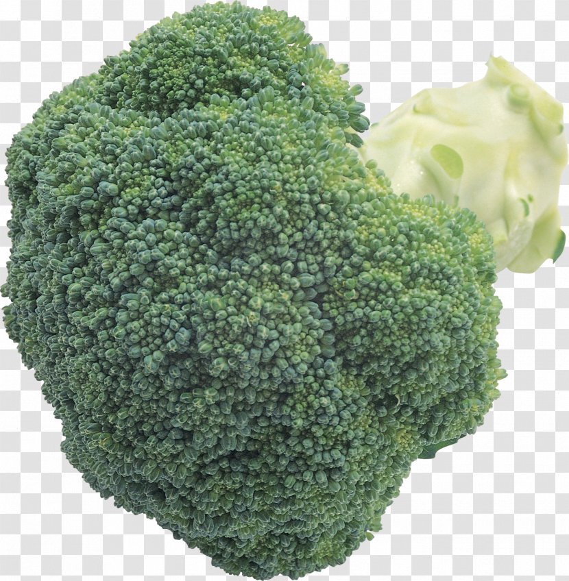 Broccoli Clip Art - Cabbage - Vegetables Transparent PNG