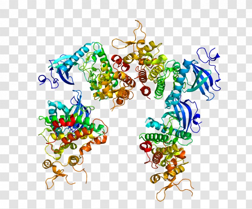 DYRK1A Dual-specificity Kinase Protein Gene - Chromosome 21 Transparent PNG