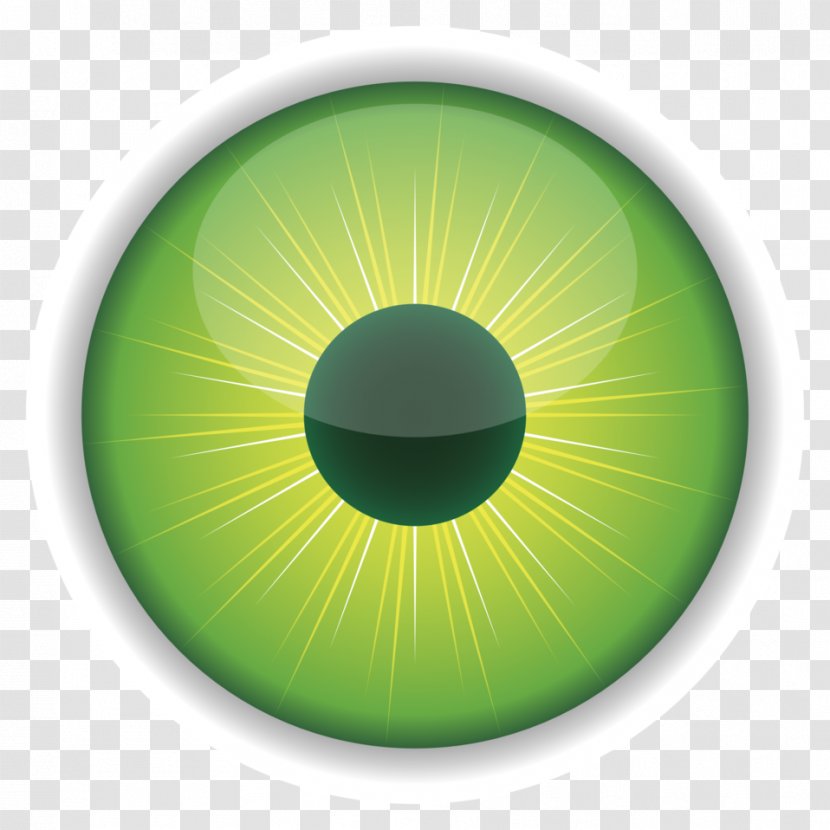 Eye Color Green Clip Art - Visual Perception - Eyes Transparent PNG
