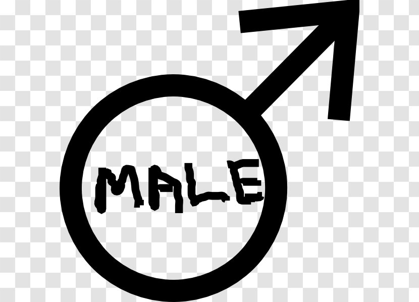 Gender Symbol Female Sign - Man - Male Transparent PNG