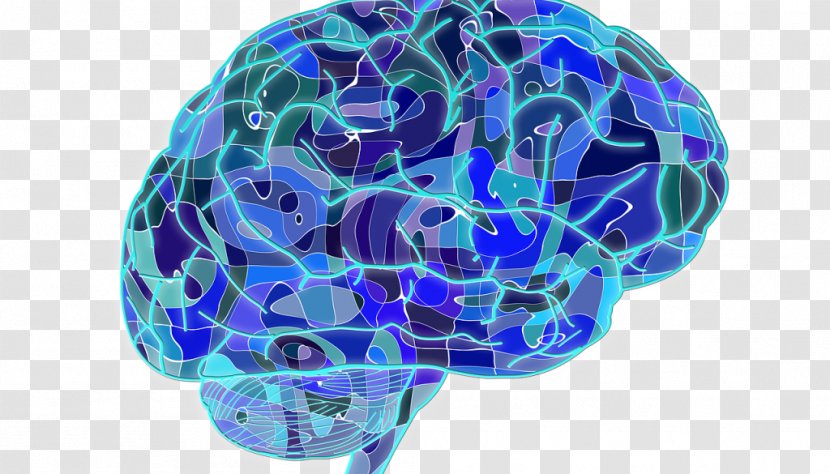Human Brain Neuroscience Neuroplasticity Cognitive Training - Tree Transparent PNG