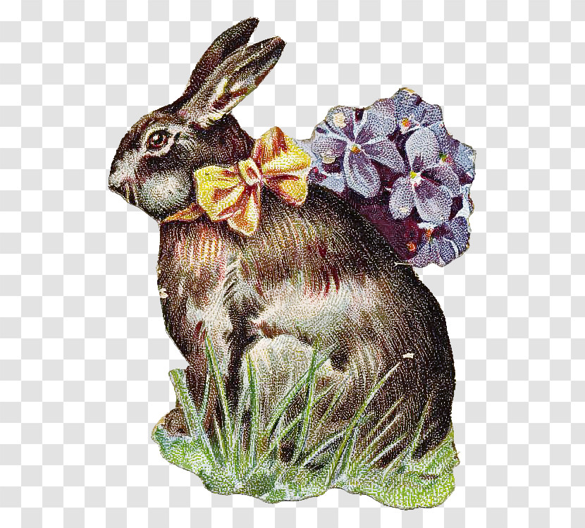 Rabbit Rabbits And Hares Hare Plant Animal Figure Transparent PNG