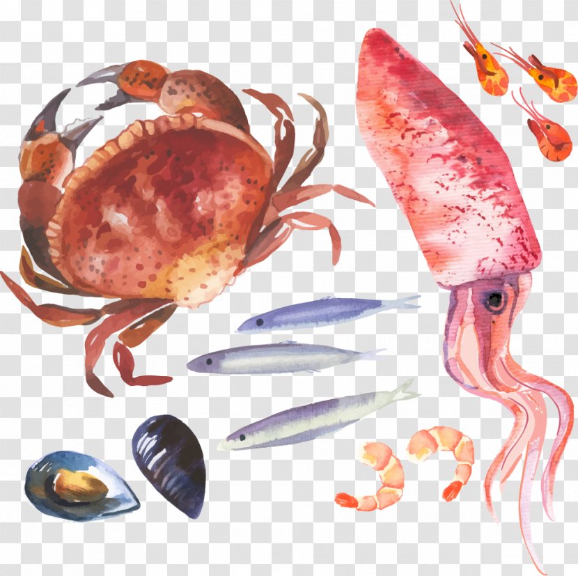 Crab Watercolor Painting Illustration - Drawing - Vector And Squid Transparent PNG