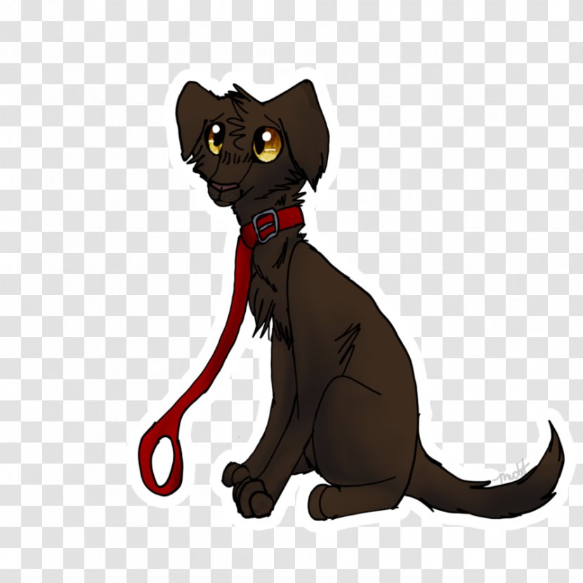 Kitten Whiskers Black Cat Paw - Cartoon Transparent PNG