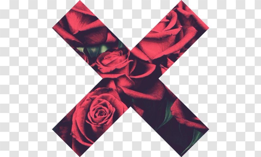 Garden Roses Desktop Wallpaper Red Blue Rose - Indie Albums Transparent PNG