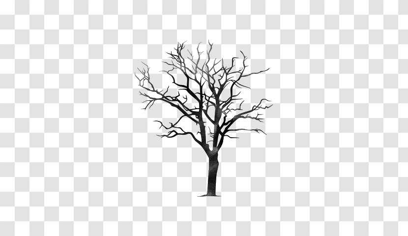 Twig Tree Branch Trunk Pine Transparent PNG