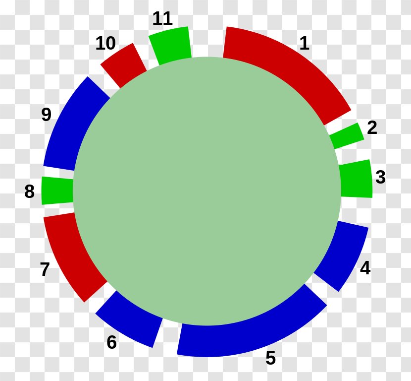 Circle Point Organization Green Clip Art Transparent PNG