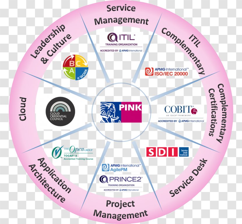 Service Management Strategies That Work Compact Disc Brand - Computer Hardware - Pink Elephant Transparent PNG